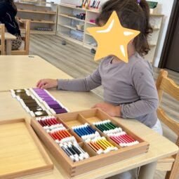 Play based Learning