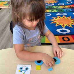 Stem Activities