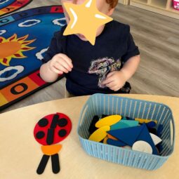 Stem Activities