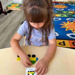 Stem Activities