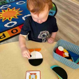 Stem Activities